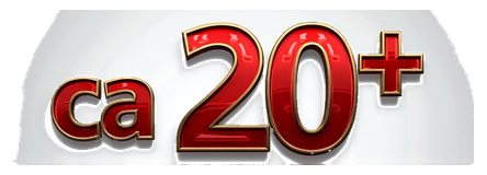 ca 20 logo